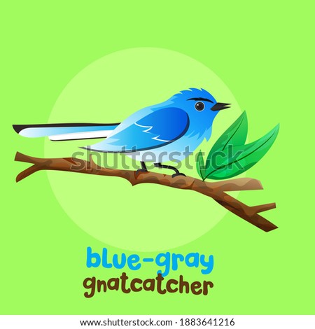 Illustration of Blue-Gray Gnatcatcher. Hand drawn illustration images good for wall decoration, wallpaper and element of design product