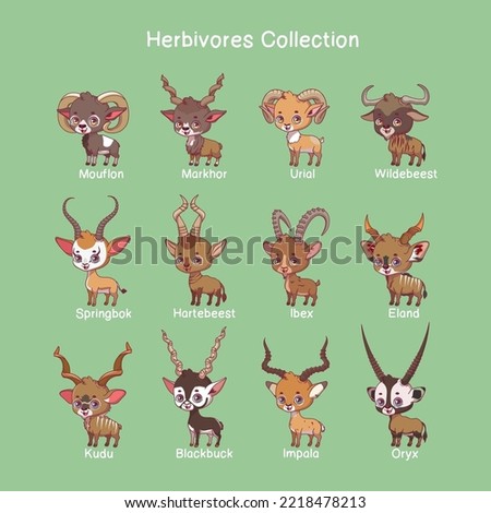 Big collection of herbivore animals with name text