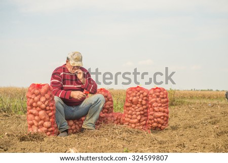 Fresh potatoes in sack