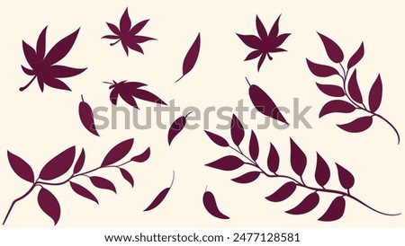 Set of leaf silhouettes, maple leaves and branches. Different simple vector plants illustration for autumn design