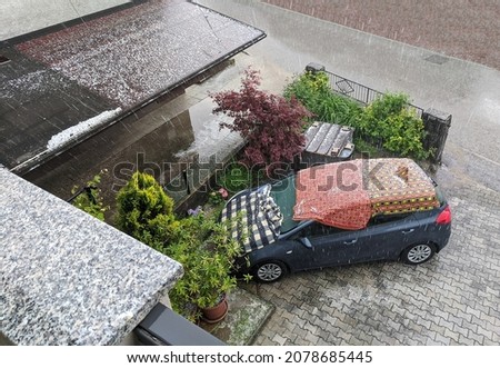 Foto Bild Hagel in einem Schutznetz über Gemüsepflanzen