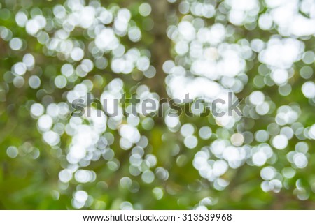 Blurred of nature outdoor  background