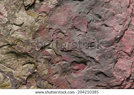 violet stone texture of old wall