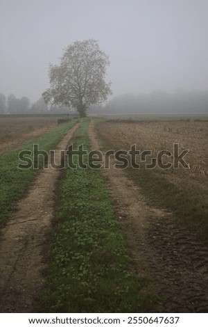 Similar – Foto Bild Wiesen und Feldweg mit rotweißen Absperrband