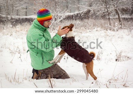 Basenji in the snow. Walking with the owner in snowy weather.