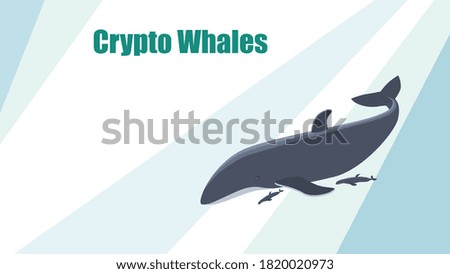 Dolphin ewallet