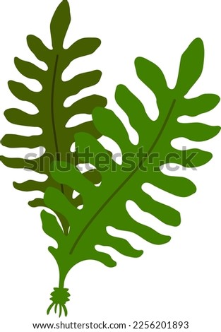 Wakame seaweeds isolated vector illustration.