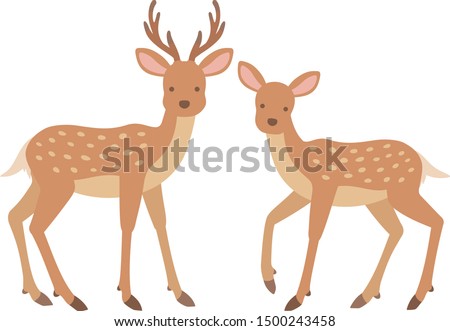 Illustration of stag and female deer