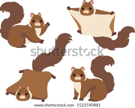 Japanese giant flying squirrels multiple pose illustration set