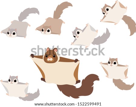 Flying squirrels illustration set (Japanese giant flying squirrel, Japanese lesser flying squirrel, Russian flying squirrel)