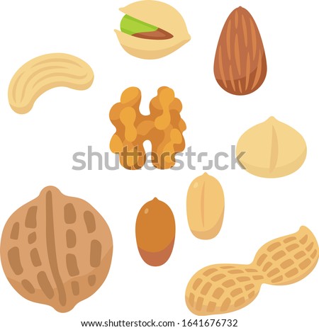 Nuts illustration set (almond, peanuts, walnut, cashew, macadamia nuts, pistachio)