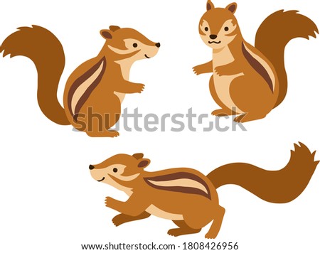 Hand drawn style Illustration set of  squirrels (Chipmunk)