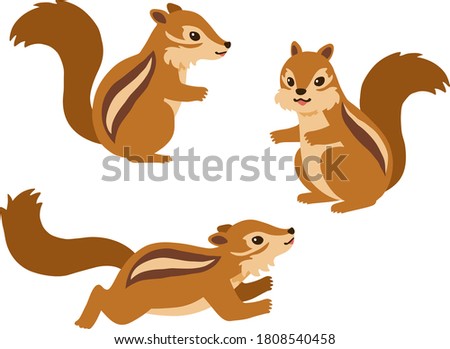 Illustration set of three chipmunks