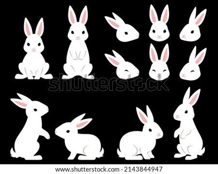 Illustration set of white rabbits facing various directions (whole body and face)