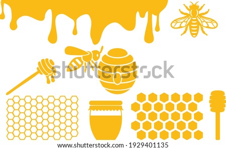 Honeycomb, Honey Drop, Honey Hive, Honey Spoon, Honey Jar on white background. Vector illustration