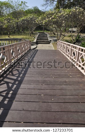 Way Bridge Wood Garden Park Long