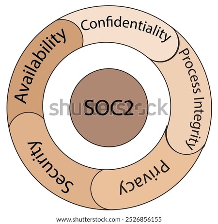 The framework of SOC 2 process audit in skin tone palette - Technology Illustration - Vector, icon 