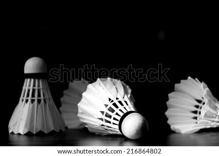 Badminton ball or new shuttlecock isolated on black background