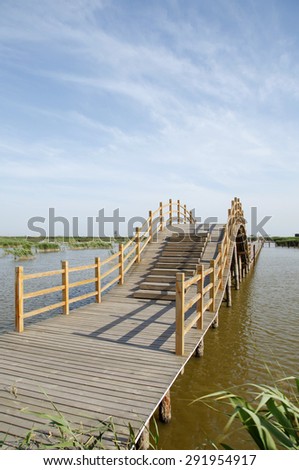 The wood bridge in wetland park