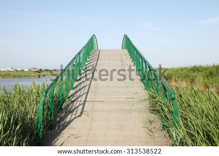 The wood bridge in wetland park