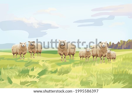 Similar – Image, Stock Photo Sheep in a meadow sheep