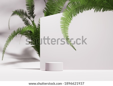 3D podium display on white background with green fern. Cosmetic, beauty product promotion  pedestal with shadow nad plant.  Natural showcase. Abstract minimal, simple studio 3D render with copy space