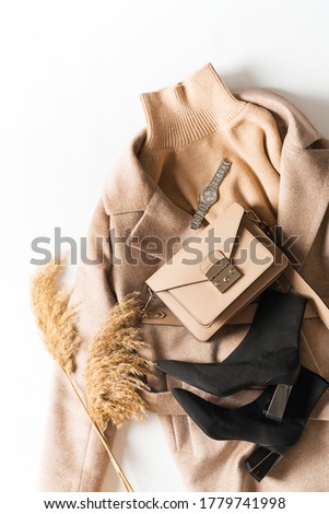 Similar – Image, Stock Photo Woman in brown boots standing on a wooden floor holding a dried artichoke flower in her hand