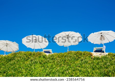 White sun beach umbrellas (parasol) with a clear blue sky and green succulent grass. Resort, relaxation concept.