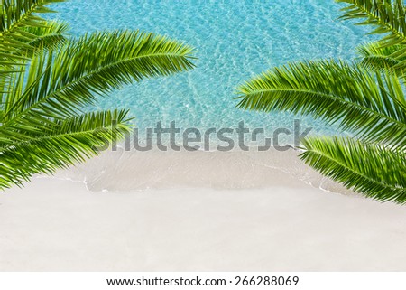 White sand beach and tropical sea with palm tree. Resort background.