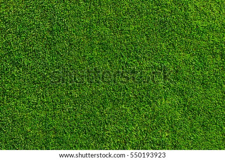 Beautiful Green Grass Texture Free Photography All Free Web Resources For Designer Web Design Hot