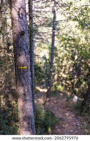 Yellow markings on the trunk of a tree indicating the Cirque du Bout du Monde hiking trail in Saint-Etienne-de-Gourgas Stock fotó © 