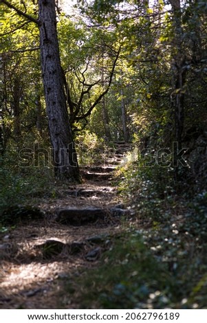 Hiking path in the forest around the Cirque du Bout du Monde in Saint-Etienne-de-Gourgas (Occitanie, France) Stock fotó © 