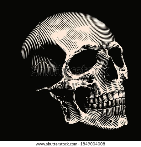 Human skull. Hand drawn engraving. Editable vector vintage illustration. Isolated on black background. 8 EPS