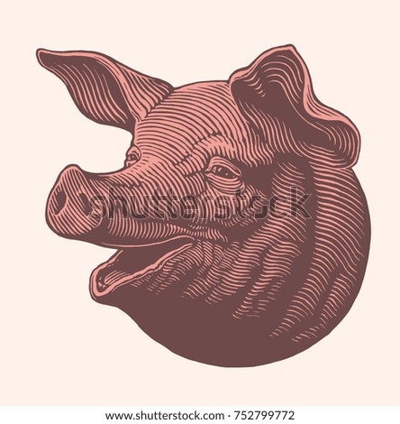 vector shirt t hand Pig  Vector  Download Art Free Free  Vector Head  Image