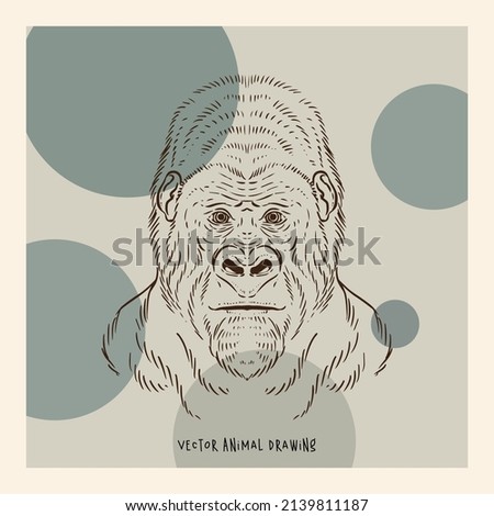 Gorillas Animal Portrait Vector Art Drawing Pastel Abstract Background