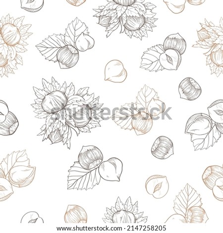 Seamless pattern Hazelnut many fruit nuts and kernels in sketch style. Background warm shades for packing hazelnut or chocolate, nut paste