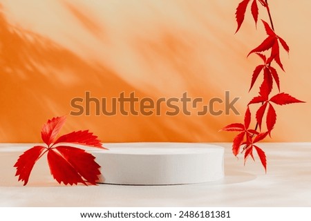 Similar – Image, Stock Photo Autumn/red Nature Plant