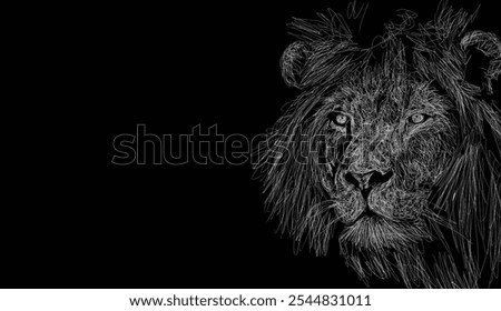  portrait lion animal wildlife sketch vector drk background with negative space