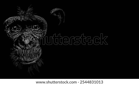  portrait of chimp animal wildlife sketch vector drk background with negative space