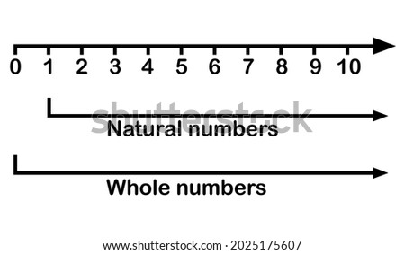 natural numbers and whole numbers line Foto d'archivio © 