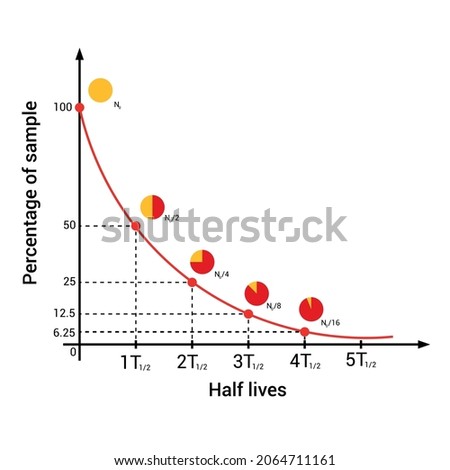 half life curve in nuclear physics