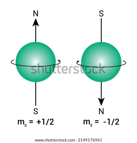 quantum spin number diagram vector illustration isolated on white background