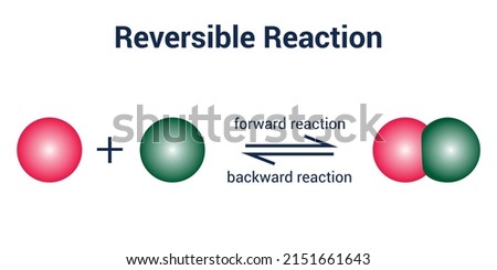 Reversible reaction and dynamic equilibrium. chemical reaction vector illustration on white background