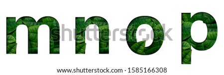 Shutterstock Puzzlepix