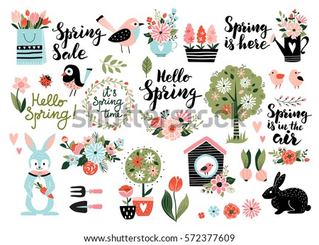 Similar – Image, Stock Photo Watering can and flowers pots in sunlight on pink background. Top view. Gardening concept. Creative layout