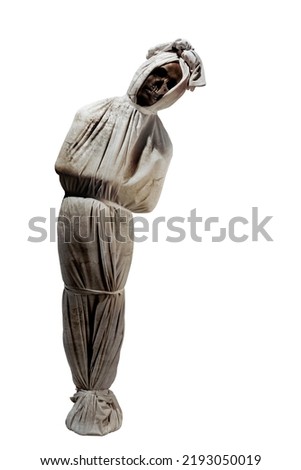 Similar – Image, Stock Photo shrouded
