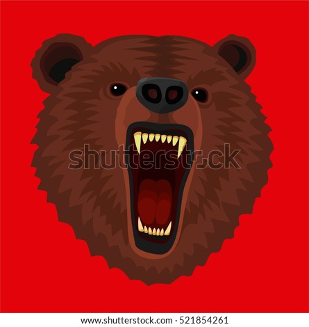 The image of the muzzle of a bear, the bear