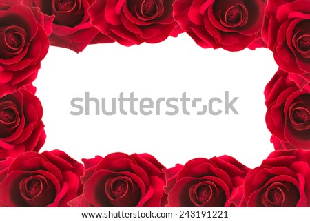 red roses  frame background