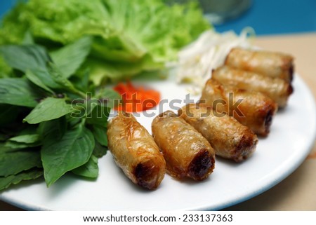 Spring rolls (Cha gio), Vietnamese cuisine. A combination of pork meat or shrimp and vegetable wrapped in rice paper and deep fried.