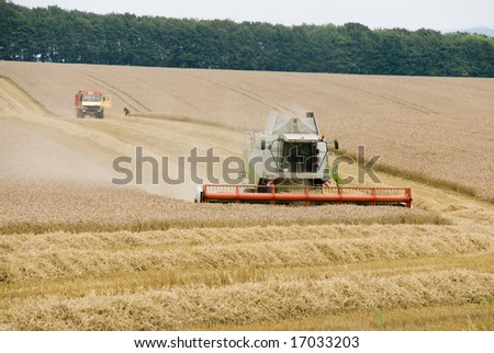 Harvest time, Waltshire, United Kingdom